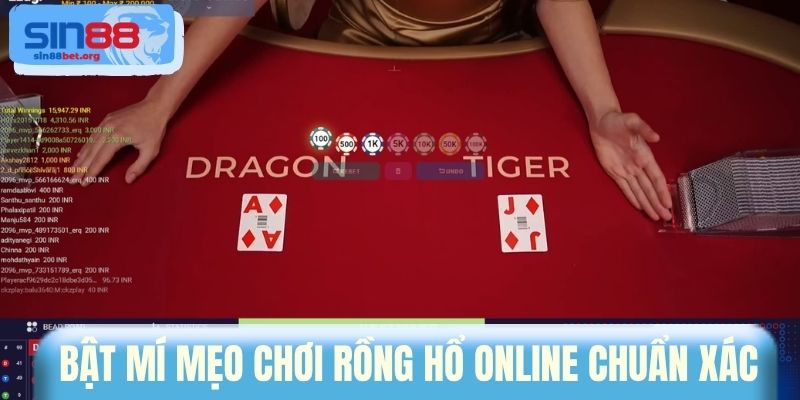 Bật mí mẹo chơi Rồng Hổ online chuẩn xác 