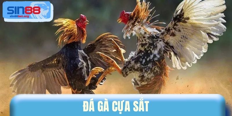 Đá Gà Cựa Sắt